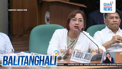 Kaugnayan ng pamilya Discaya sa mga flood control project, tinalakay | Balitanghali