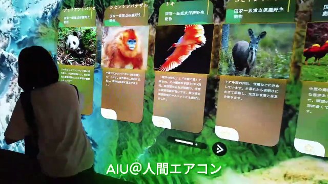 15分で中国館に行ってきた！未来を感じる壮大なパビリオン体験 🇨🇳✨【大阪関西万博2025】　I went to the China Pavilion in 15 minutes! Experience the magnificent pavilion that brings you to the future 🇨🇳✨ [Osaka Kansai Expo 2025]