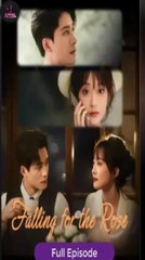 Falling For The Rose Chinese Drama