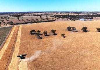 Well managed Keith farm has top pastures and irrigated lucerne.