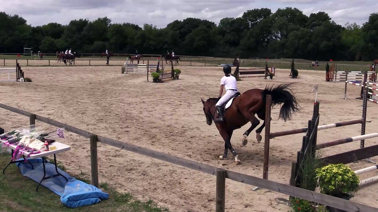 ILE BRAGARD 30-07-2017 Amateur 2 Grand Prix (1,10 m) 45