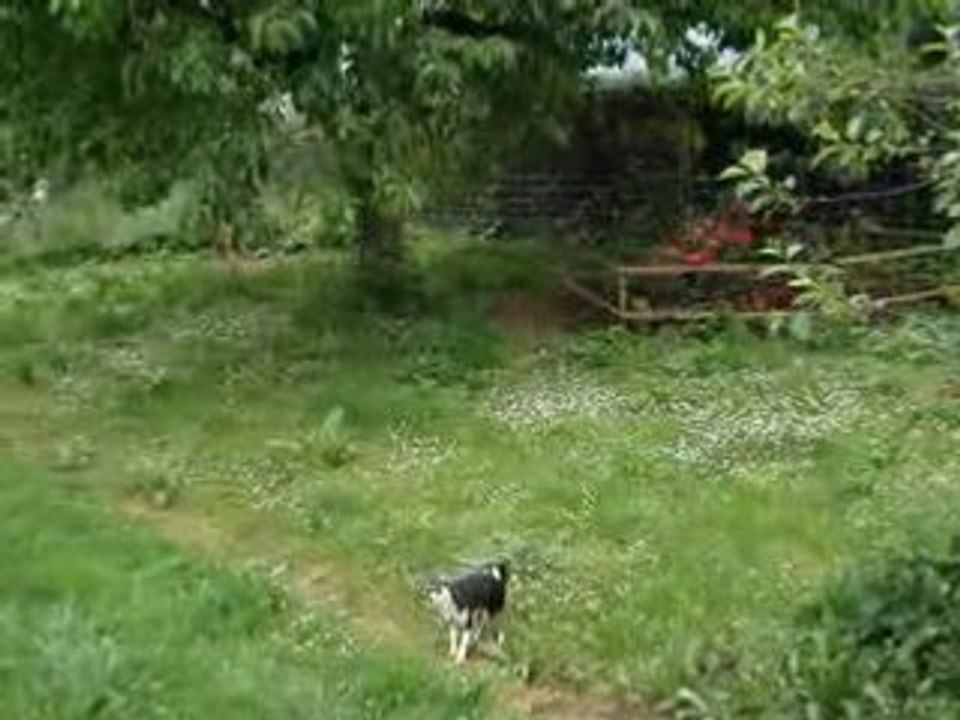 Chez Méliss le 17.05.08