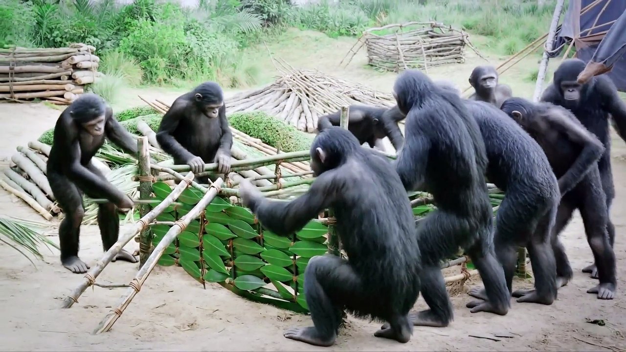 30,000 Years Ago ｜ How Prehistoric Humans Fought Giant Bears, Shared Food & Built Shelters (1)