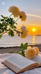 "Darood Shareef ki Barkat | Zuban aur Dil ki Mithaas"