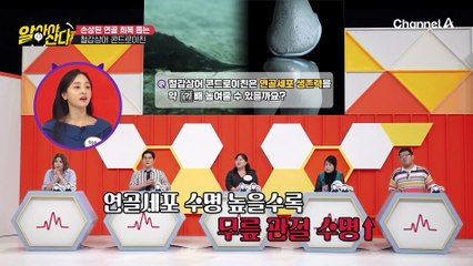 연골 세포 생존력을 3배 높여준다!? 손상된 연골 회복 돕는 철갑상어 콘드로이친