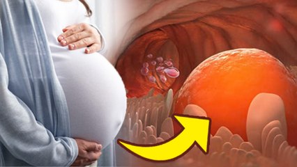 Small Egg Size Causes:अंडे अगर छोटे बनते है तो गर्भधारण कैसे करे, Egg Size & Quality For Pregnancy..