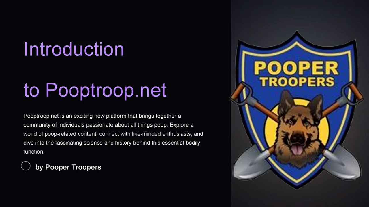 Professional Dog Poop Removal in Florida – Clean Yards, Happy Homes!