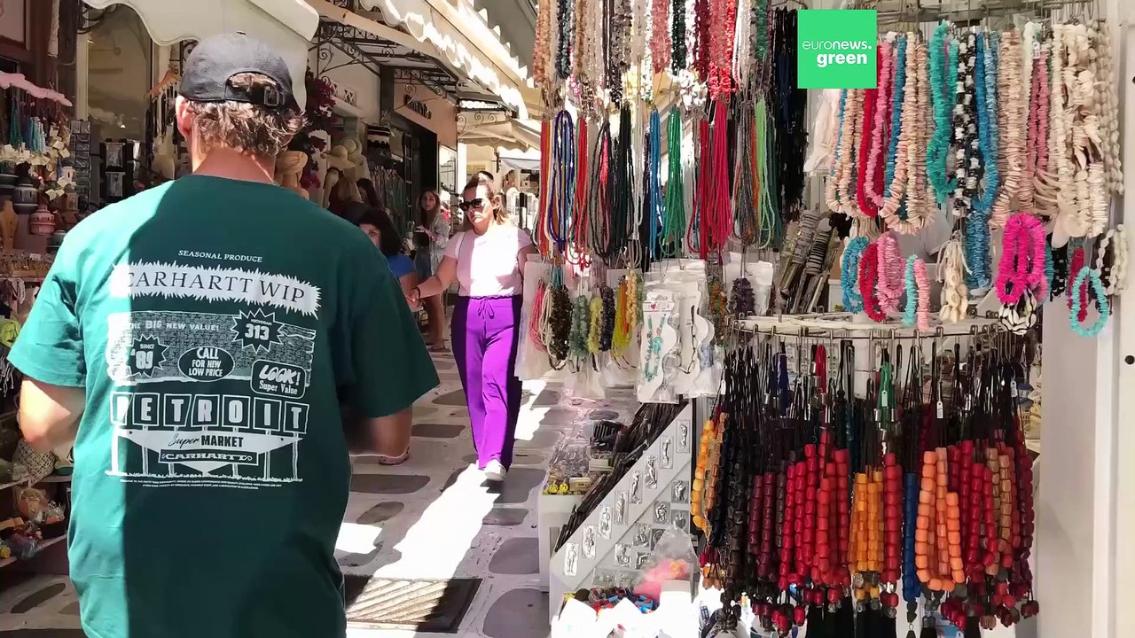 Meet the experts sailing to 26 Greek islands to protect endangered Mediterranean monk seals