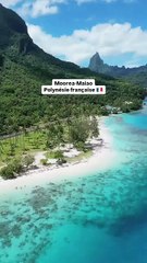 On a découvert l’île spectaculaire de Moorea 🌴🌊