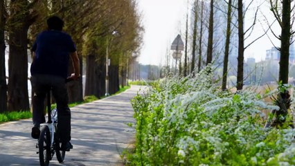 Top 10 Best Gym Exercises for Muscle Growth