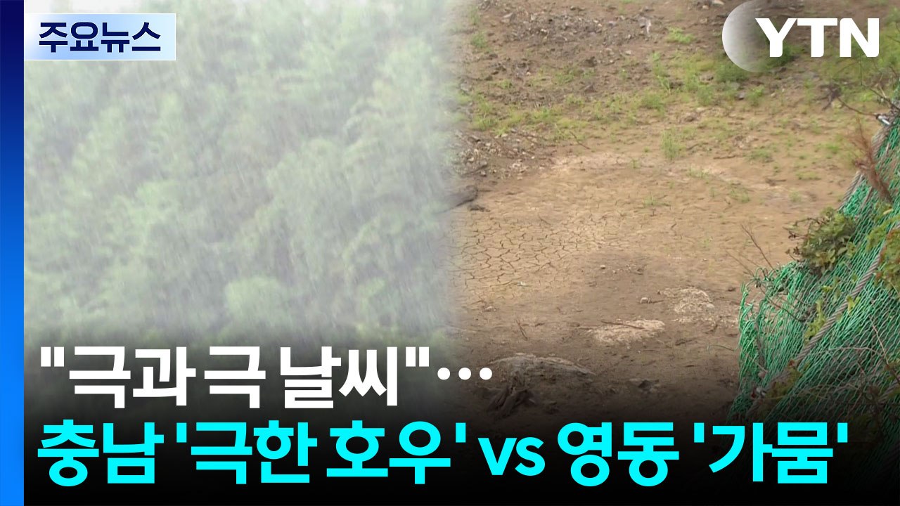 "극과 극 날씨"...충남 '극한 호우' vs 영동 '가뭄' / YTN