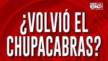 Aseguran que "El chupacabras" volvió a aparecer en Salta y ya mató a varios animales