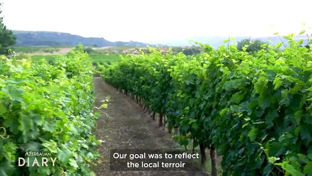 How the Savalan Valley is turning Azerbaijan into a wine tourism destination