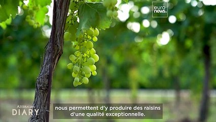 Comment la vallée de Savalan fait de l'Azerbaïdjan une destination œnotouristique