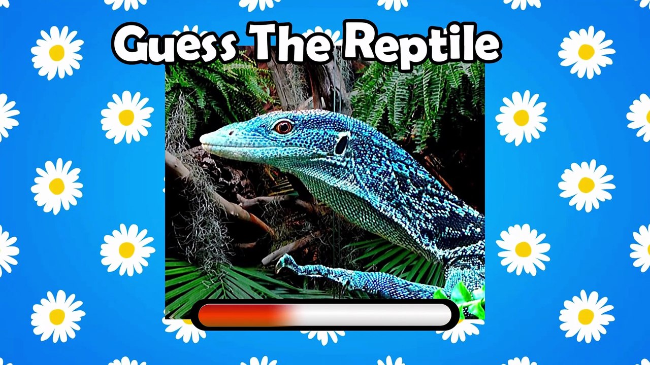 Guess the Reptiles 🐢 Can You Guess Them All? | Quiz 2025