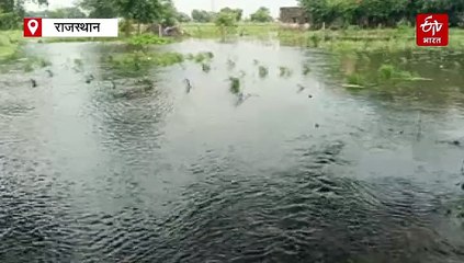 धौलपुर में बारिश ने किया बेहाल, ग्रामीण इलाकों में घुसा पानी, जनजीवन अस्त-व्यस्त