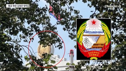北 대사관, 김정은 맞이 준비…황금 휘장 포착