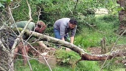 B roll shorts Water Vole River Wey ©National Trust_Hannah Elliott