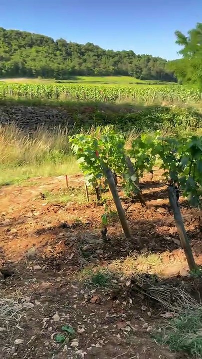 Elle vit sur son lieu de travail !