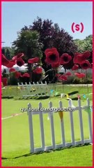 « Je suis Super Woman mais on a besoin de petits moments pour se recharger ! » Avec plus d’une ving