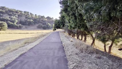 Vídeo Pixel 10 - Principal día