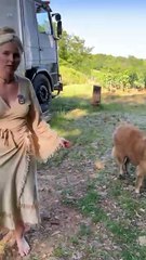 Escalier sur mesure attrape chat !