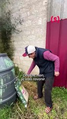 C’est une affaire de femmes depuis 4 générations ! À la @ferme_notre_dame, l’agriculture se transm