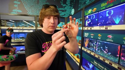 "I Turned My House Into A Fish Tank 🐟🏠😱 | $50,000 Challenge 💵🔥"