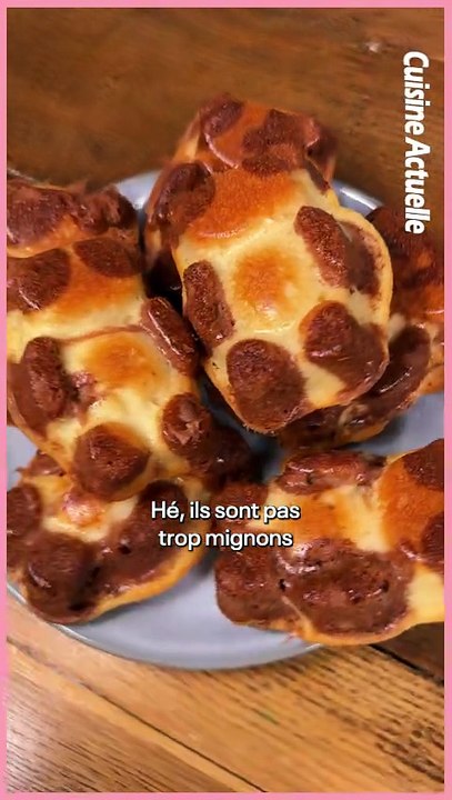 Gâteaux oursons au yaourt marbré à la pâte à tartiner