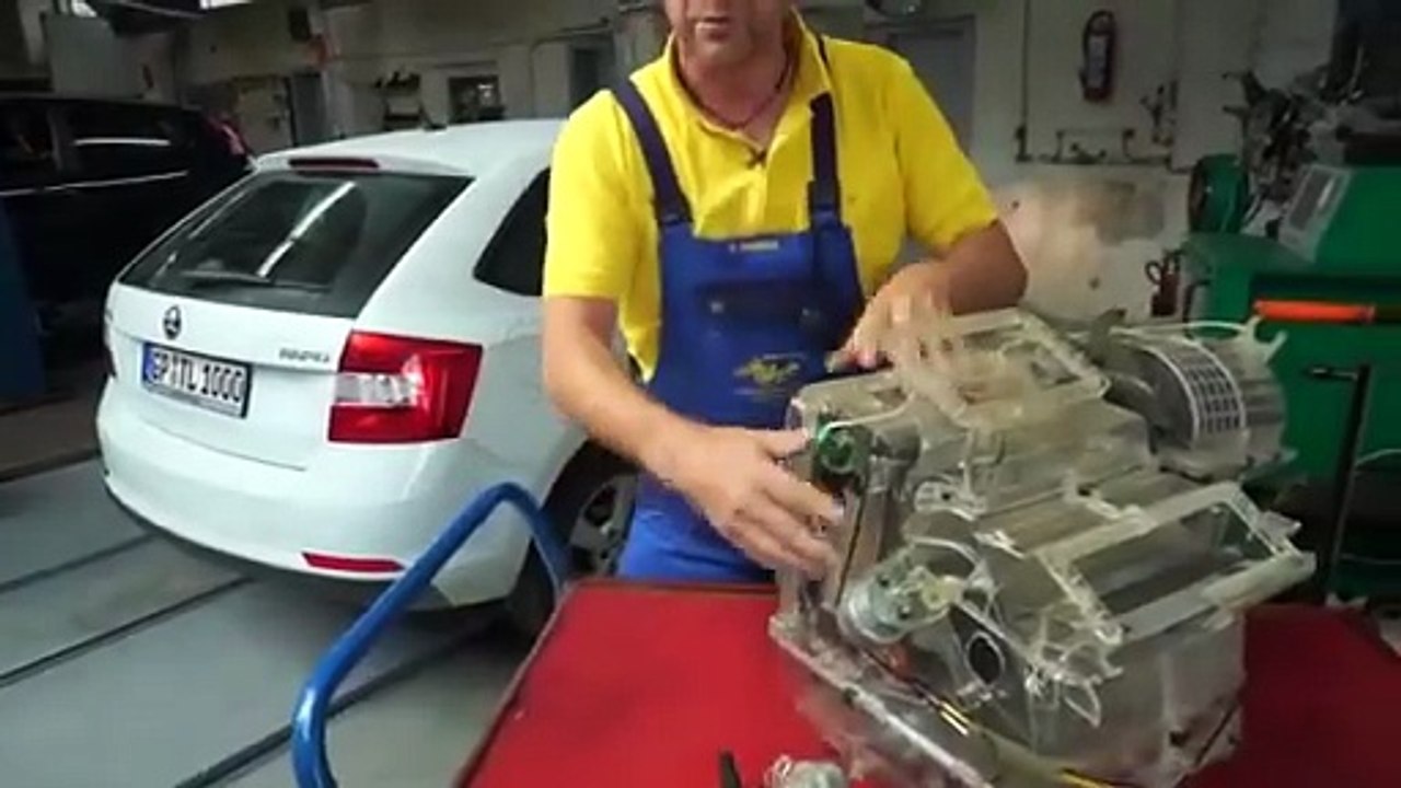 Die Autodoktoren-Wasser im Skoda und Holger auf 180!