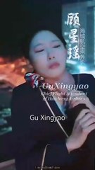 flight path to her own sky chinese drama, Second Life at Cruise Altitude chinese drama