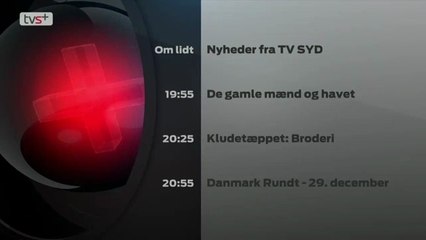 Programoversigt med musik og sendt den 29 December 2015 på TV SYD