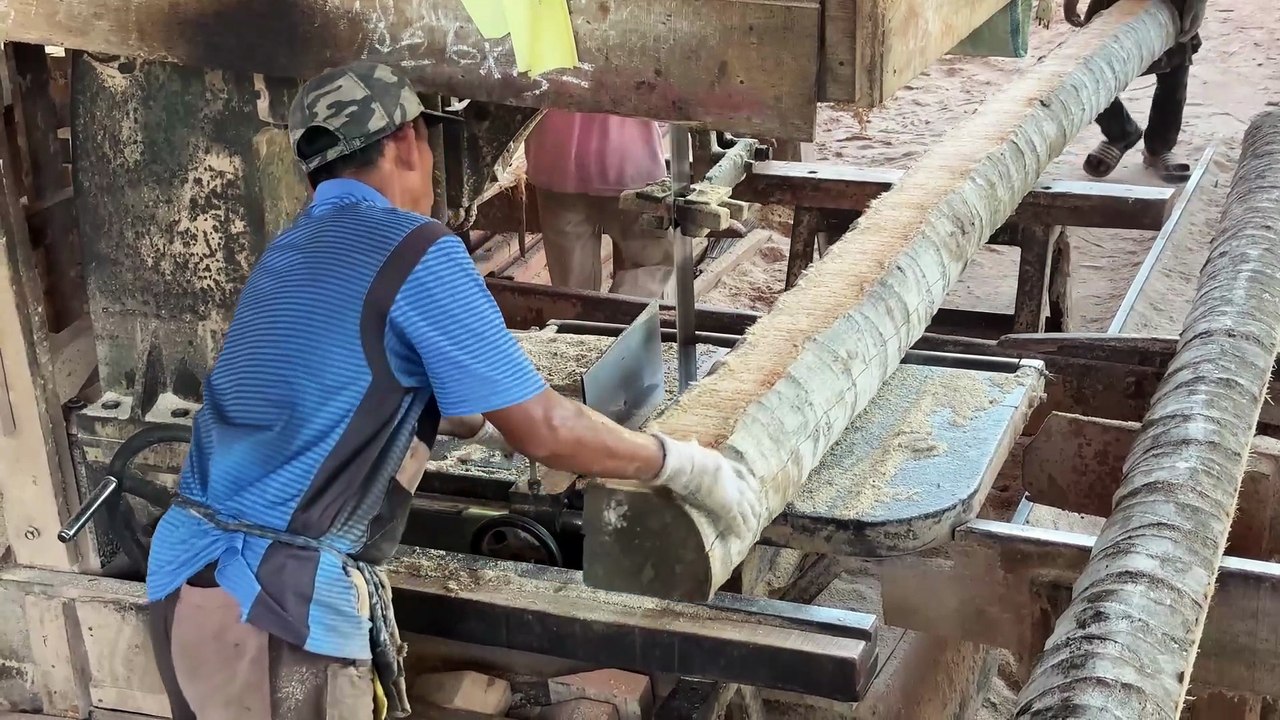 Sawmill Machine Quick Solution for Processing Coconut Logs 5x7