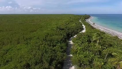 Beautiful Hidden Forest Island  Stunning Drone Aerial View of Nature