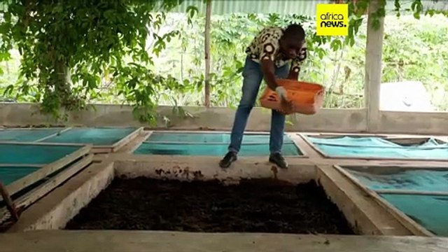 Benin : un projet d’engrais naturel à base de larves pour sauver l'Afrique