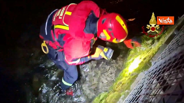 Gatto bloccato in una tubazione a Polcenigo (PN) salvato dai pompieri, i miagolii di ringraziamento
