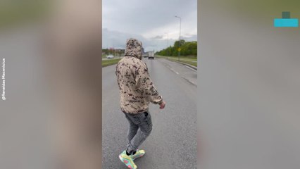 Man Rescues Baby Swans Stuck at Road Curb