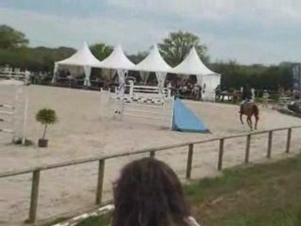 Ligniere 3