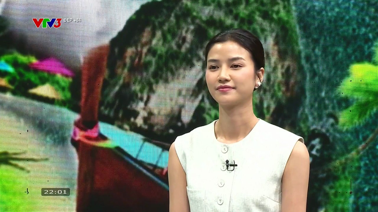 VTV3 - Đẹp +84 - Số 131 (01/09/2025) [FULL]