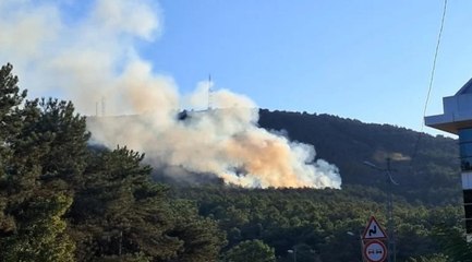 Ataşehir'de ormanlık alanda yangın! Ekipler müdahale ediyor