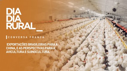 Exportações brasileira para a China e as perspectivas para a avicultura e suinocultura