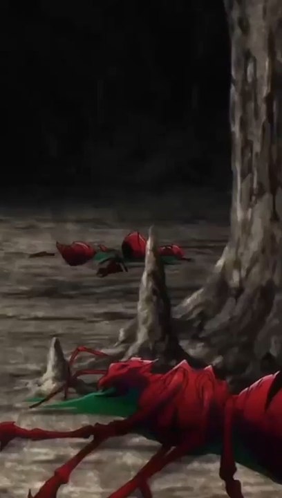 Nem tudo é o que parece A Formiga Preta Surge: O Que Esconde Esse Mistério Arrepiante?