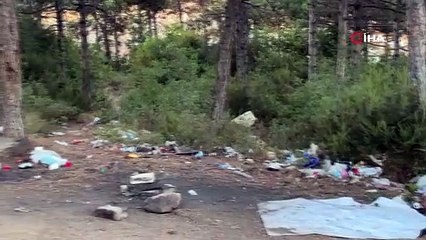 Ataşehir Kayışdağı ormanında yangın