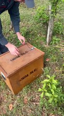 Cobra de 2 metros invade empresa e assusta trabalhadores em SC; veja fotos