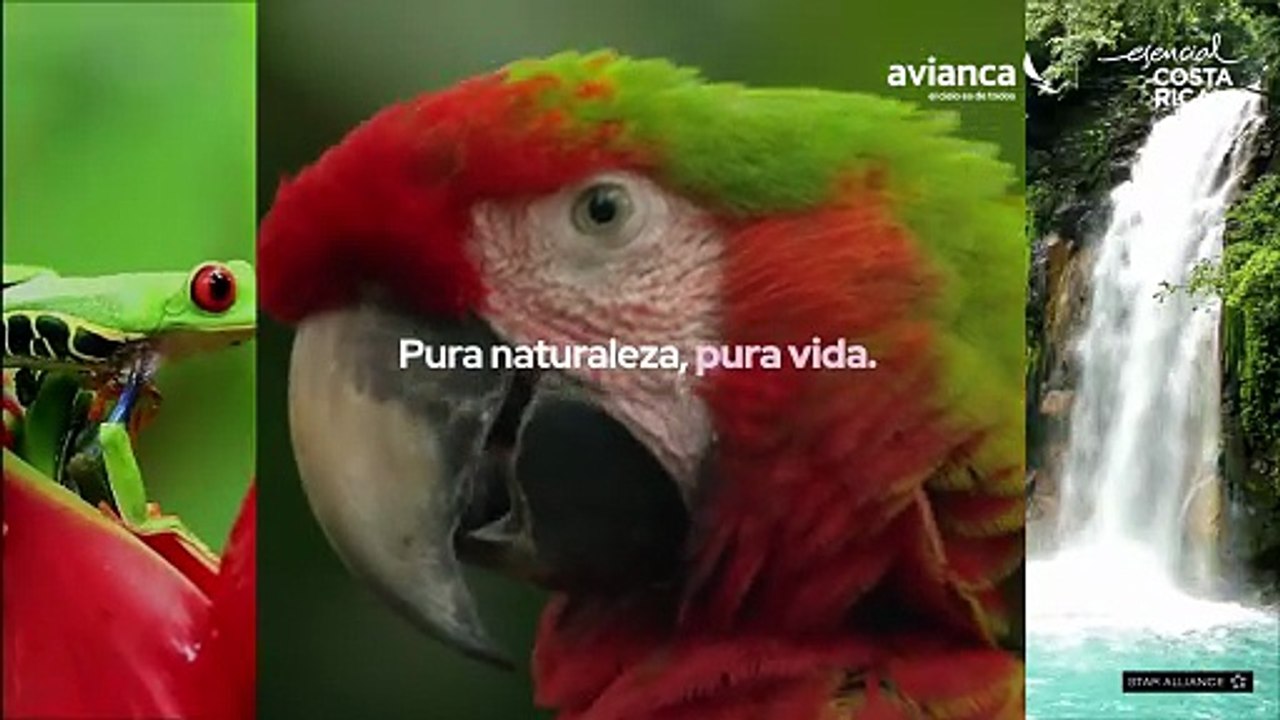 AVIANCA_ CO_Horizontal_1920x1080_30seg_SEPT 2025