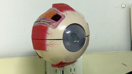 Compra de útiles y visita al oftalmólogo, las obligaciones en este regreso a clases