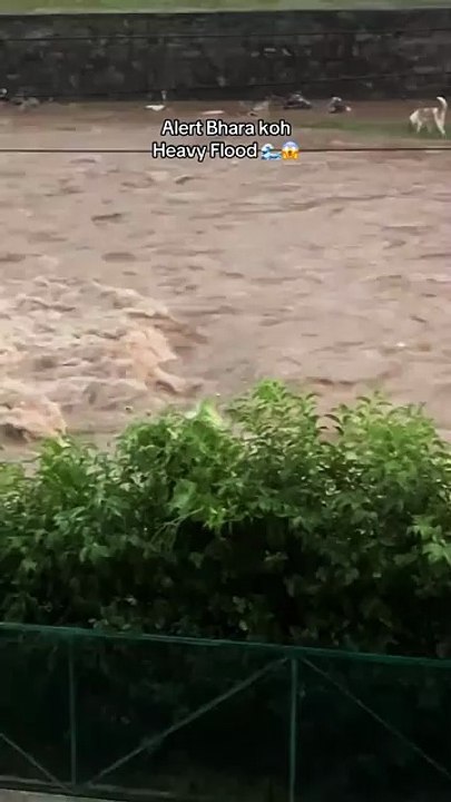 Nala Korang Overflows Due to Heavy Rainfall | Flood in Islamabad | Flood in Pakistan