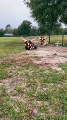 beautiful ♥️ discovering funny news