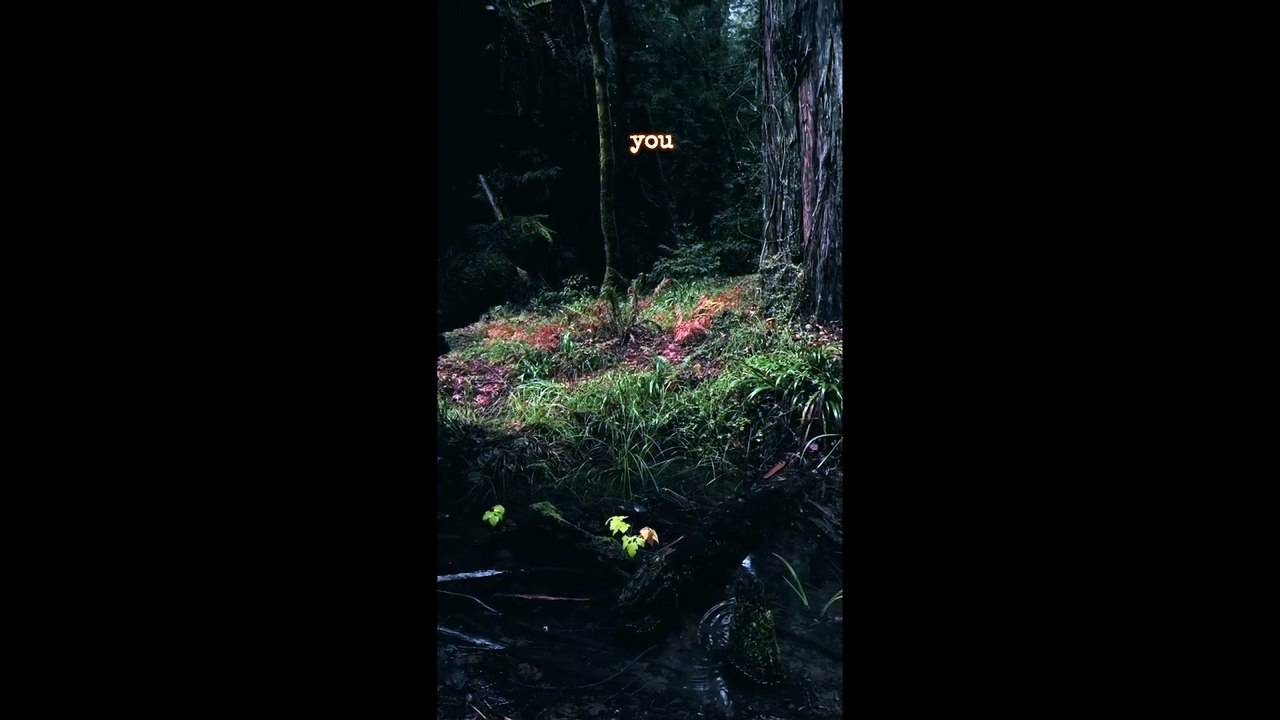 The Journey Through Pain