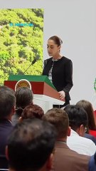 "La 4T recupera los trenes": Claudia Sheinbaum